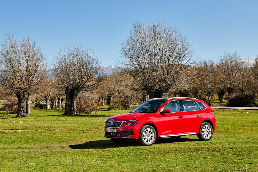  Skoda Kamiq G-Tec 2019 года  (WW) (фото 13 из 20)